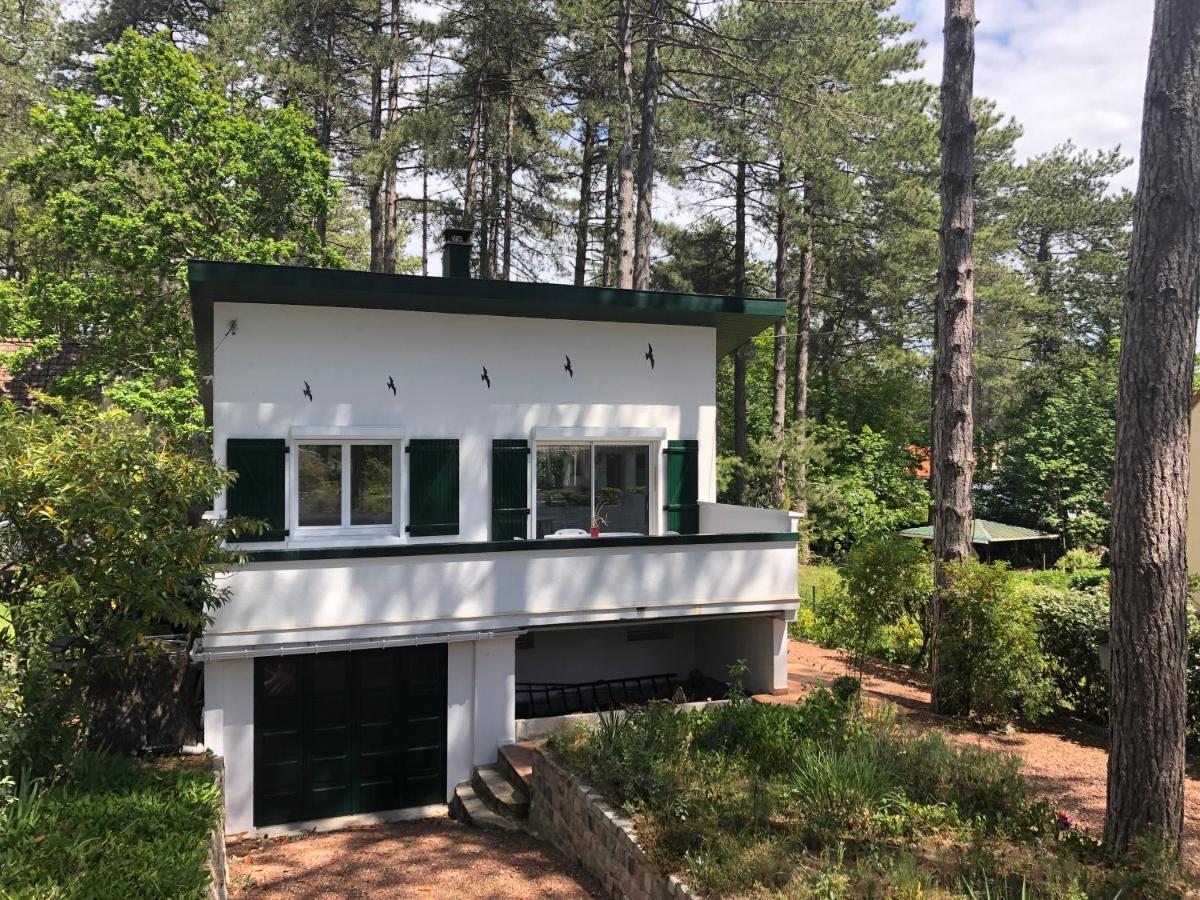 Maison Sapinettes Quend Zewnętrze zdjęcie